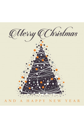 Artisti Vari - Merry Christmas and A Happy New Year (LP) 